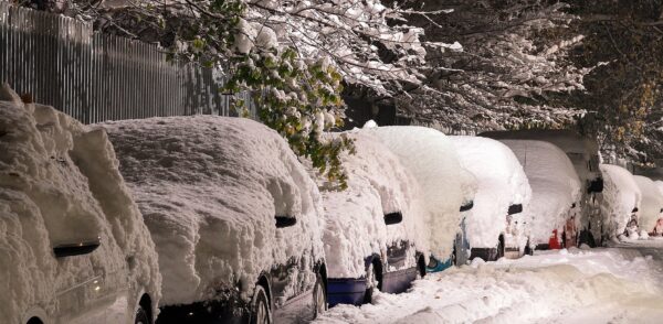 coches nevada filomena
